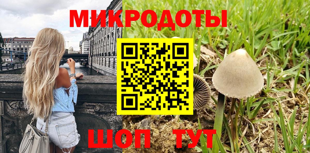 Галлюциногенные грибы GOLDEN TEACHER  купить   Ростов Великий  Псилоцибиновые грибы Magic Shrooms  Вход с VPN 